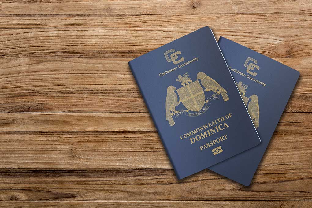 U.S. Dual Citizenship Explained: A Complete Guide to Acquiring and Managing Dual Nationality